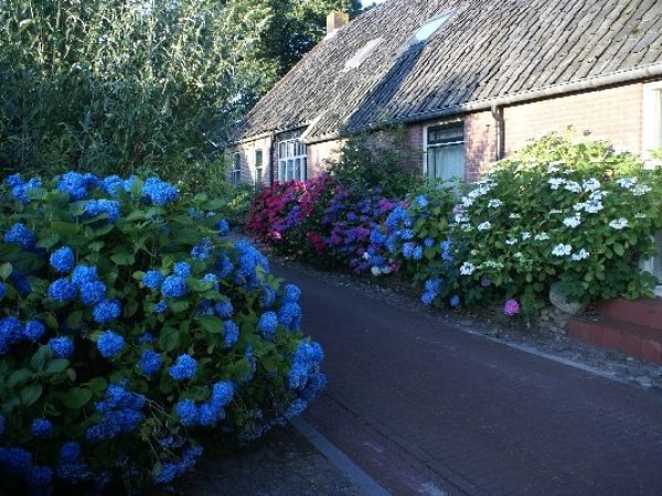 ''Onder de Eiken'' in de zomer