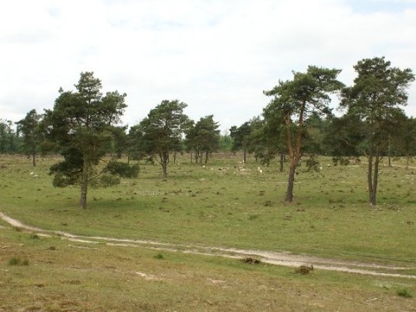 Aekingerzand - op fiets afstand