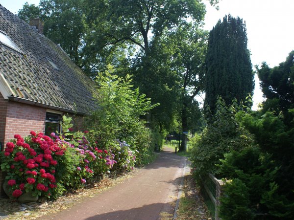''Onder de Eiken'' in de zomer