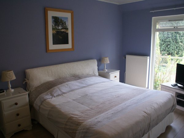 Tweepersoonskamer beneden met uitzicht op bloemen