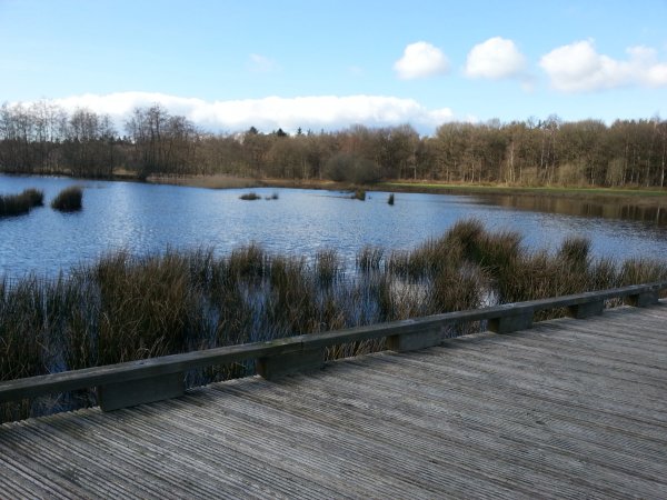 Nationaal Park Dwingelderveld staat vooral bekend vanwege de grote, stille heide
