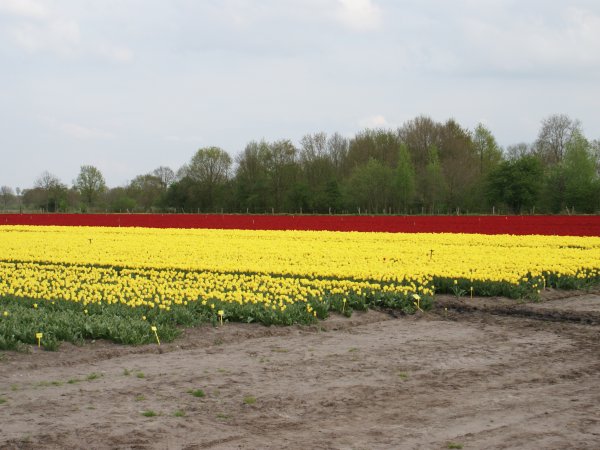 Landbouw in omgeving