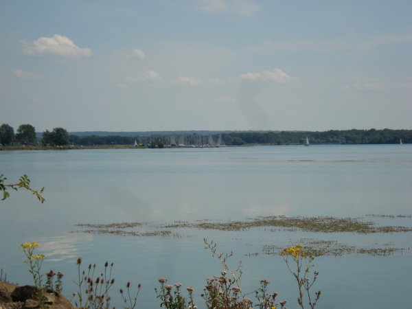Lac de madine