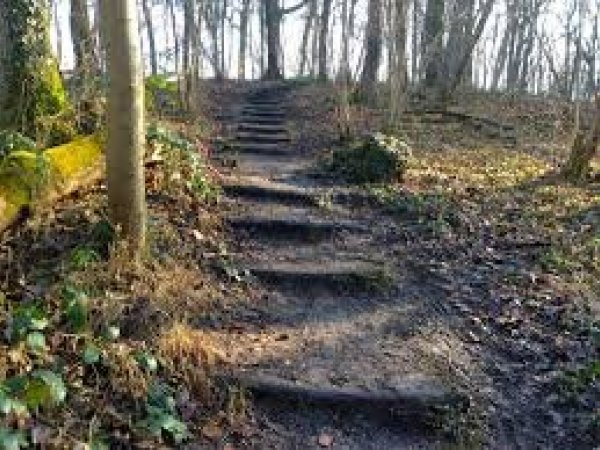 Wandelen in de omgeving